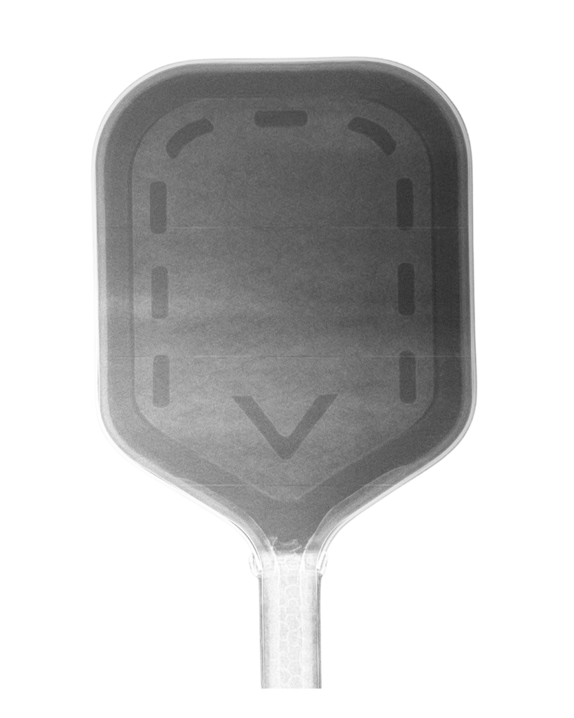 Vulcan Chapter 1 X Ray Scan